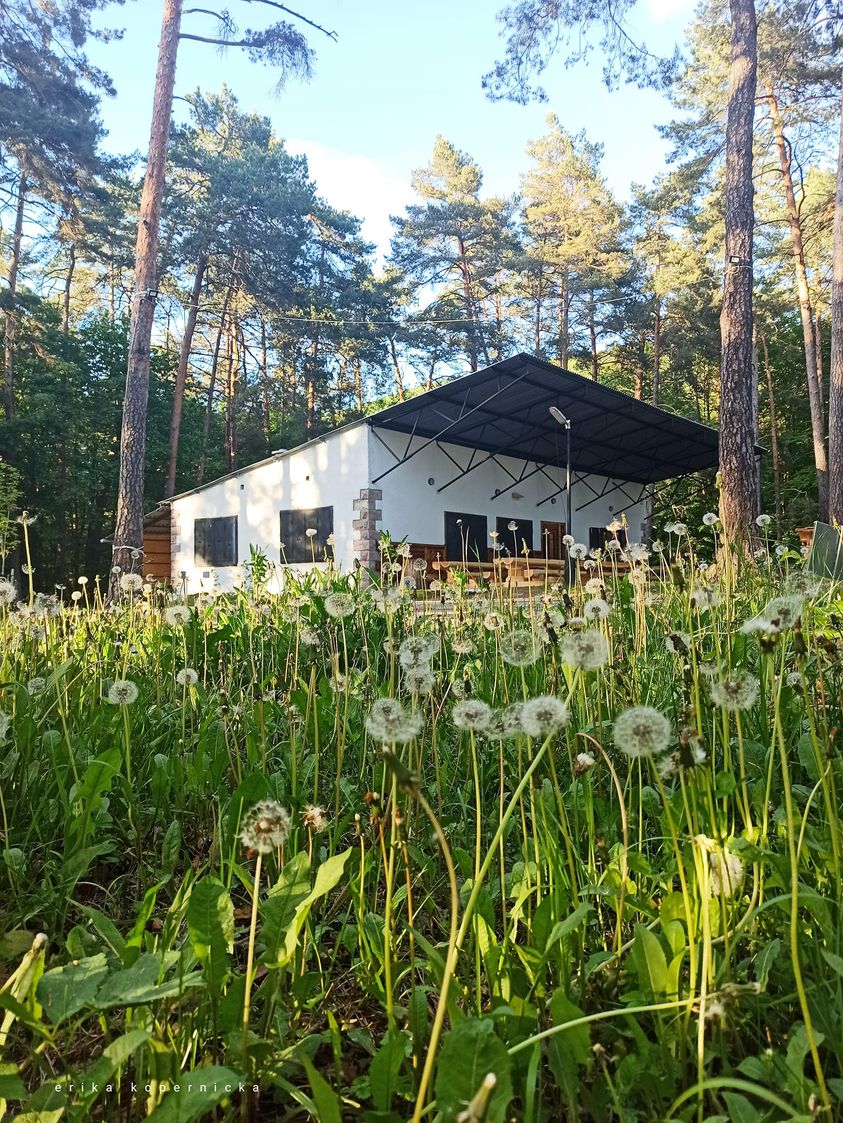 Bufet a Ferrata Zvonička — Medzinárodná v meste Nová Baňa