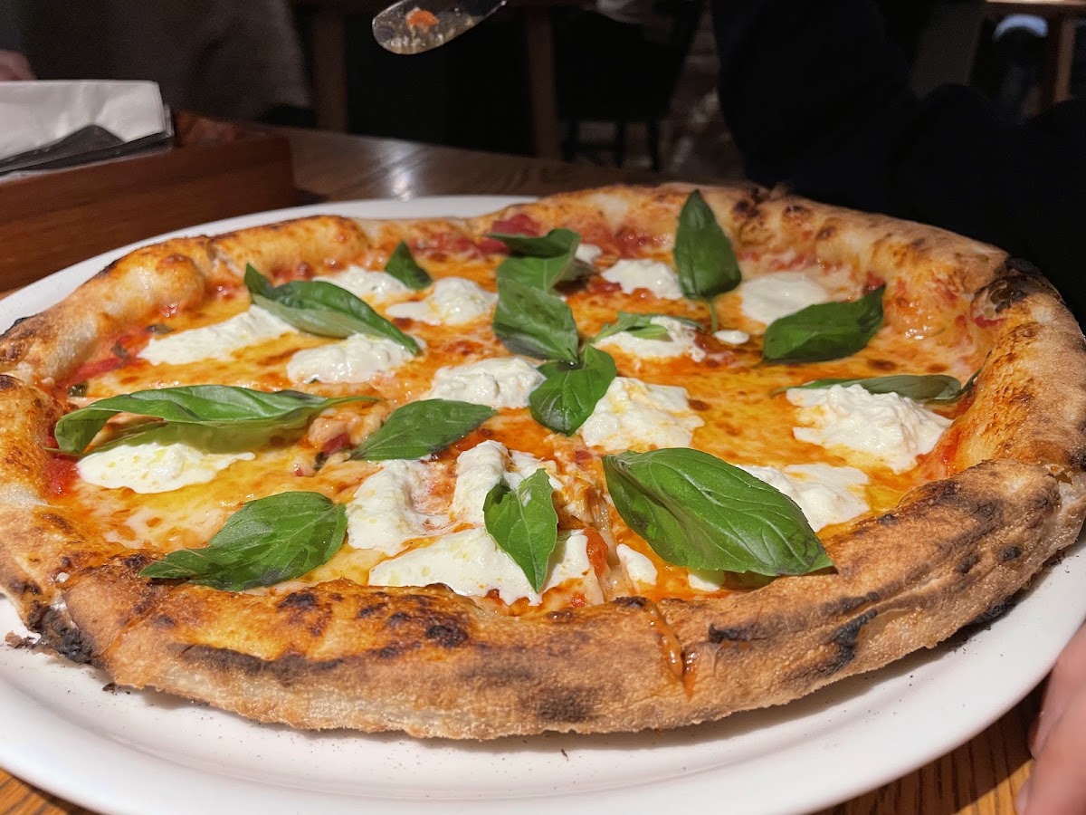 Gatto Matto Trattoria — Talianska v meste Bratislava, foto 4