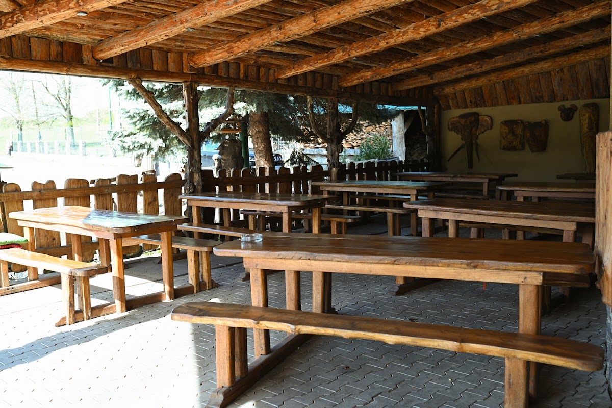 Motorest Devičie — International in Devičie