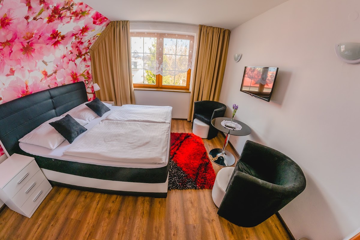 Panda Pension Turčianske Teplice — Medzinárodná v meste Turčianske Teplice, foto 4