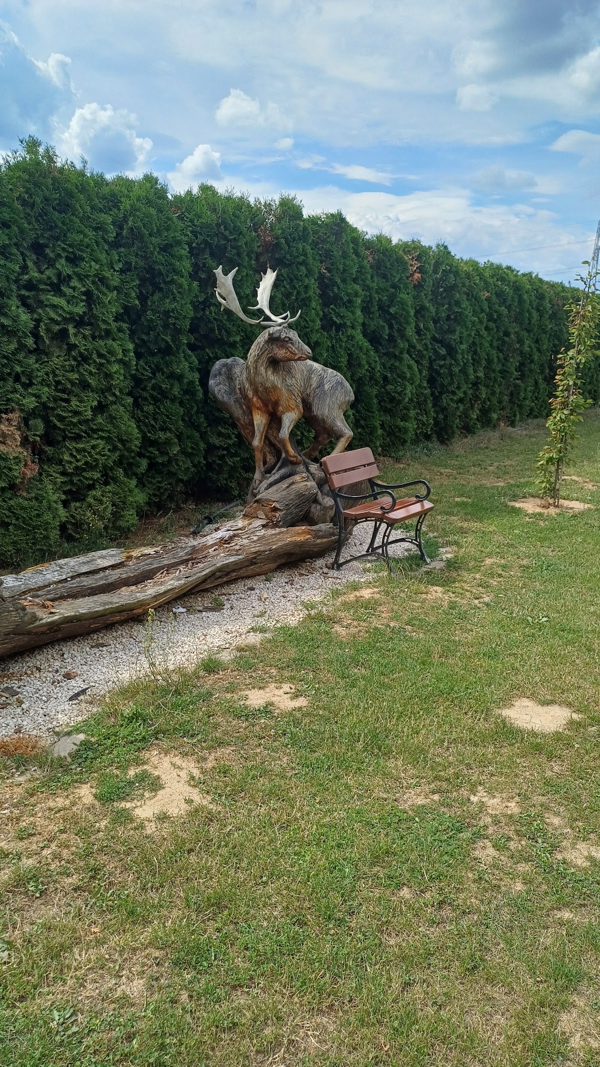 Penzión Žákovic — Medzinárodná v meste Trenčianske Bohuslavice, foto 5