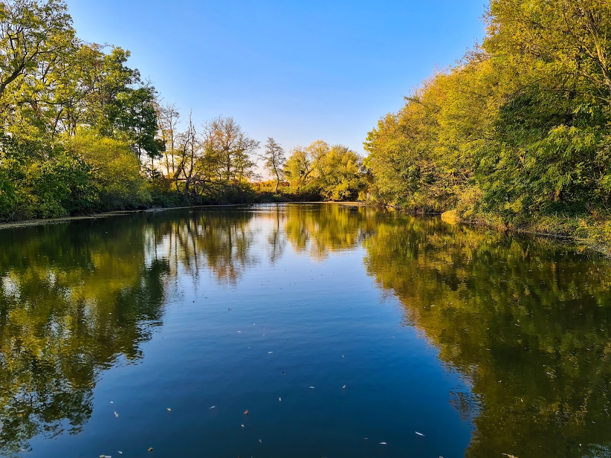 Relax — Medzinárodná v meste Sládkovičovo