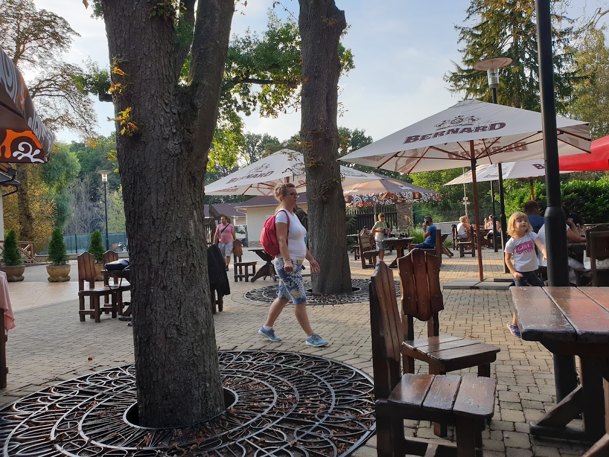 Reštaurácia Berek — Medzinárodná v meste Nové Zámky, foto 4