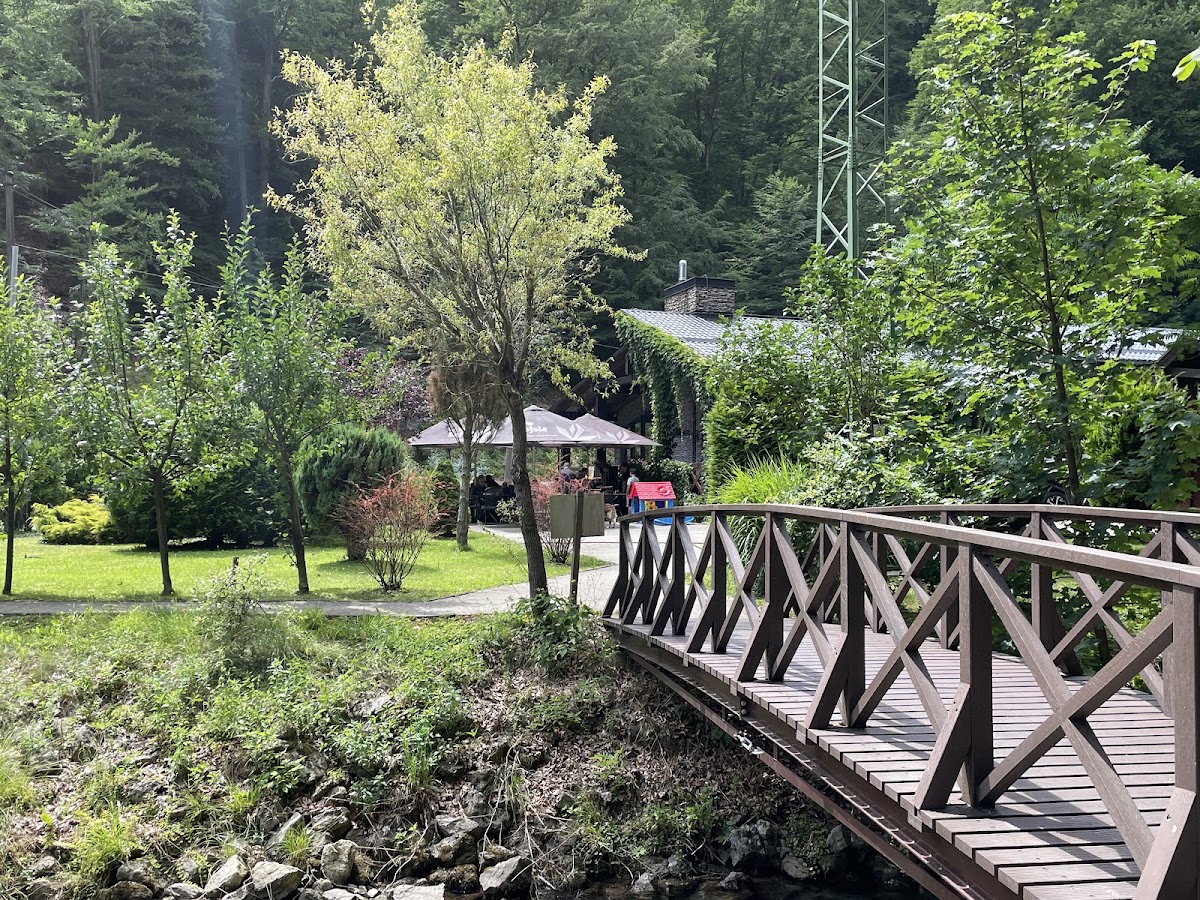 Reštaurácia Čierna ovca — Medzinárodná v meste Banská Bystrica, foto 5