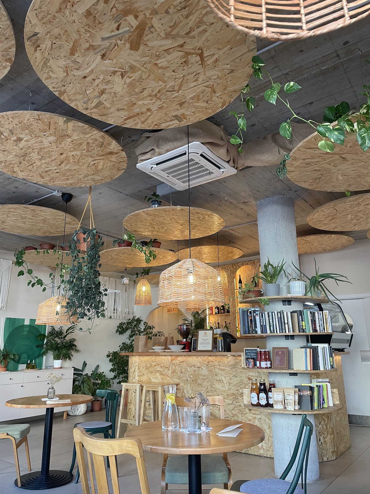 Slnečnica — International in Nové Zámky, photo 3