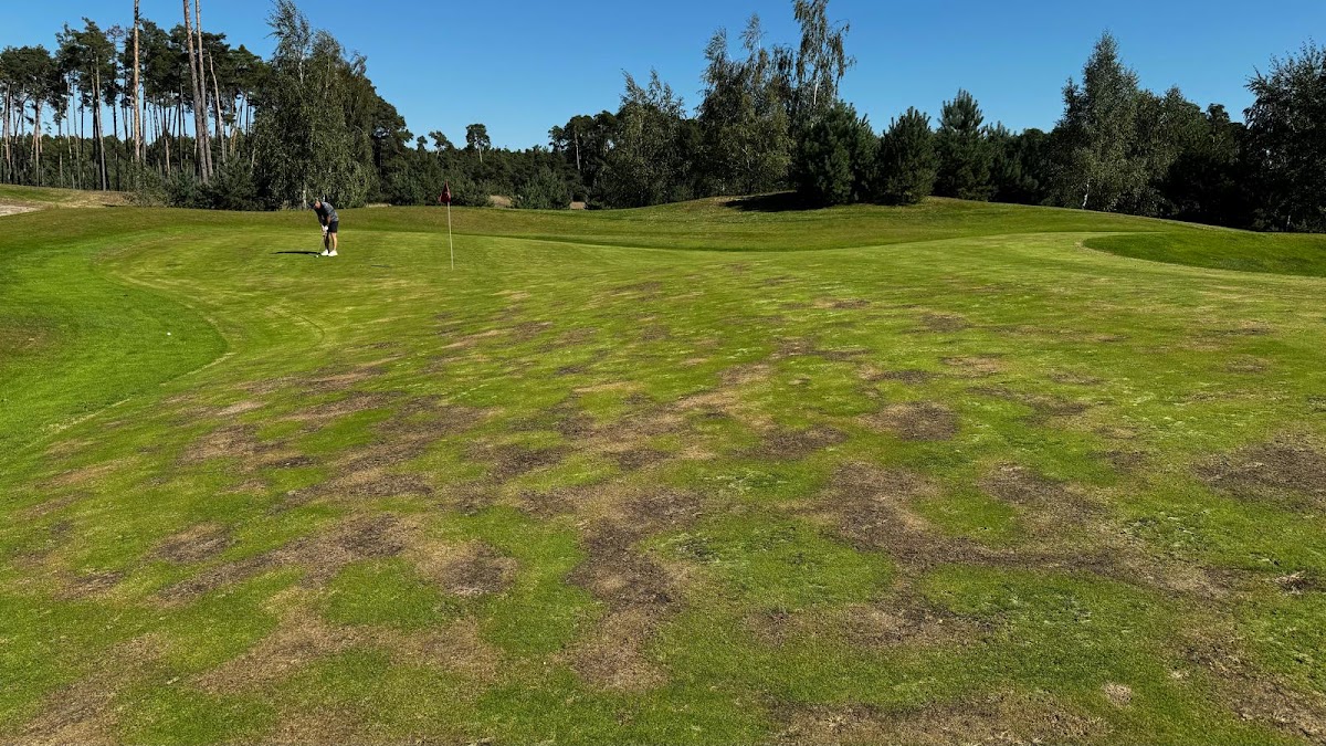 White Eurovalley Golf Resort — Medzinárodná v meste Malacky, foto 5