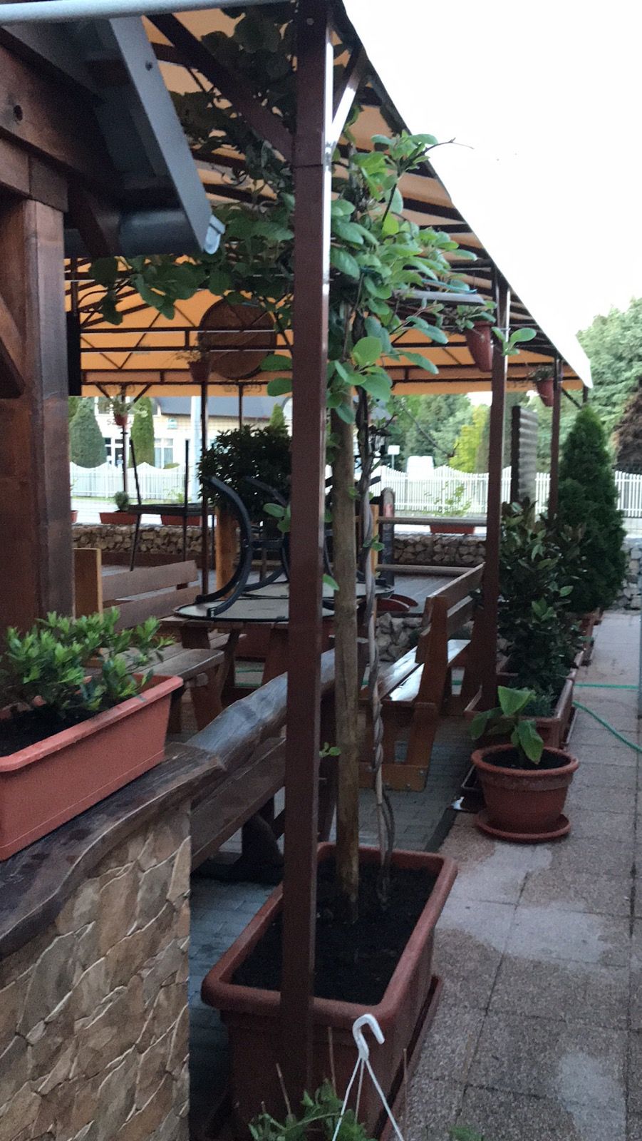 Paradiso Deluxe Garden — Talianska v meste Kolárovo