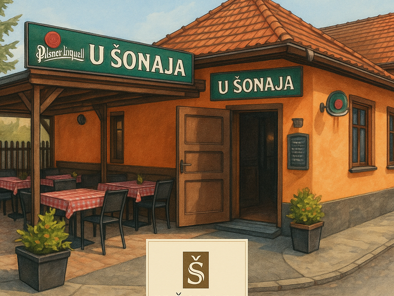 Reštaurácia U Šonaja — Medzinárodná v meste Malacky